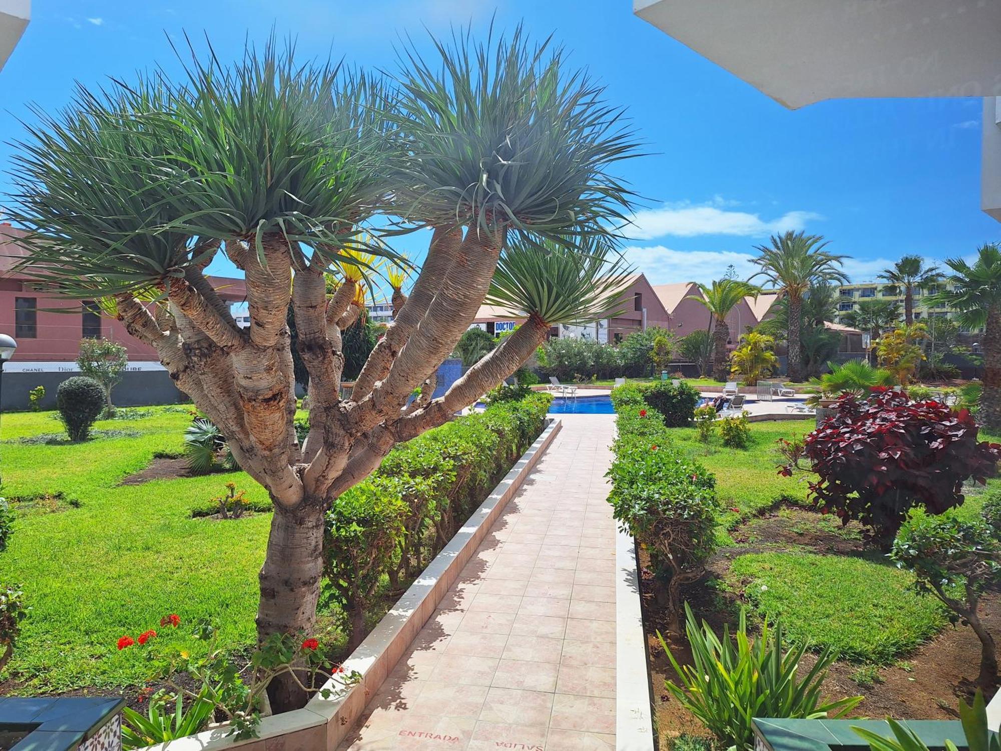 Stylish 2-Bedroom Apartment Yumbo Maspalomas  Eksteriør bilde